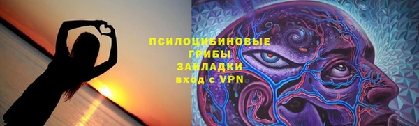 гидра Армянск