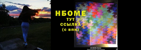 индика Аркадак