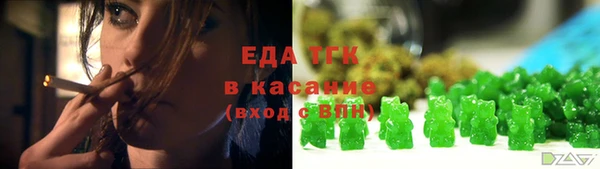 индика Аркадак