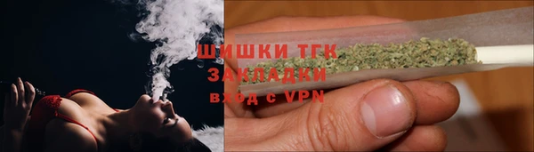 индика Аркадак