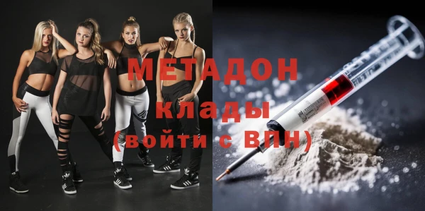 индика Аркадак